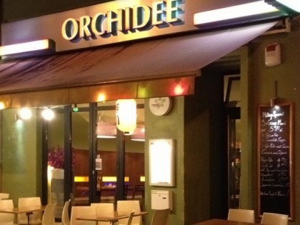 Photo: Orchidee